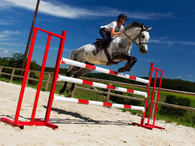 Comment aborder un oxer : technique pour cavalier et cheval