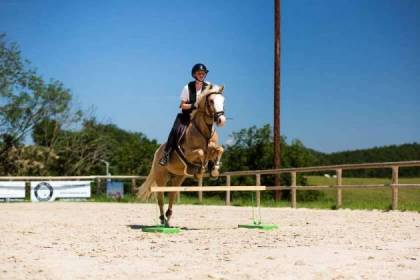 Cavaletti d'entraînement moyen 60