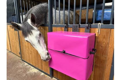 Accessoires d'équitation Sbox personnalisables